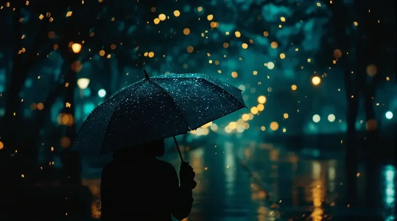 雨夜萤火 老湿影院高清封面